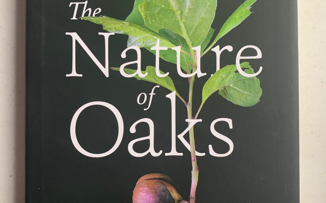 Leafy Log 9: The Importance of Oak Trees