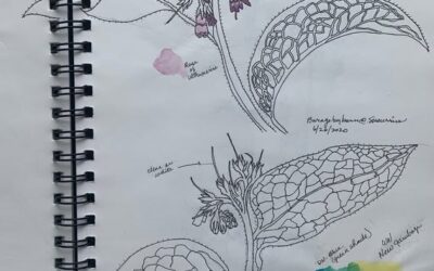 Leafy Log 61: Sketchbooks to Support Your Painting