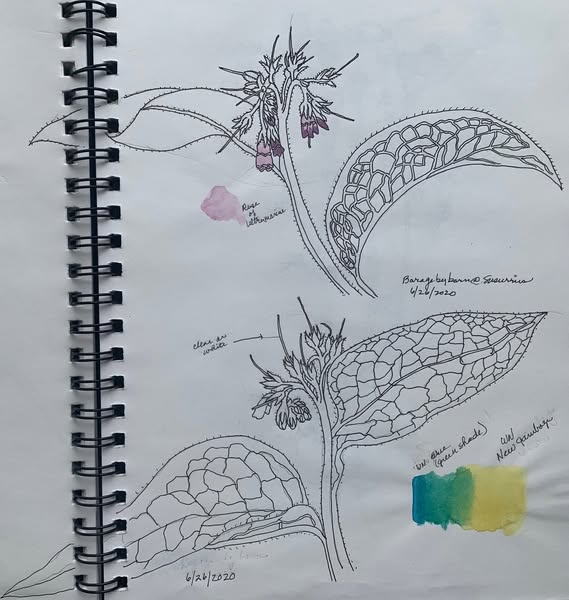 Leafy Log 61: Sketchbooks to Support Your Painting